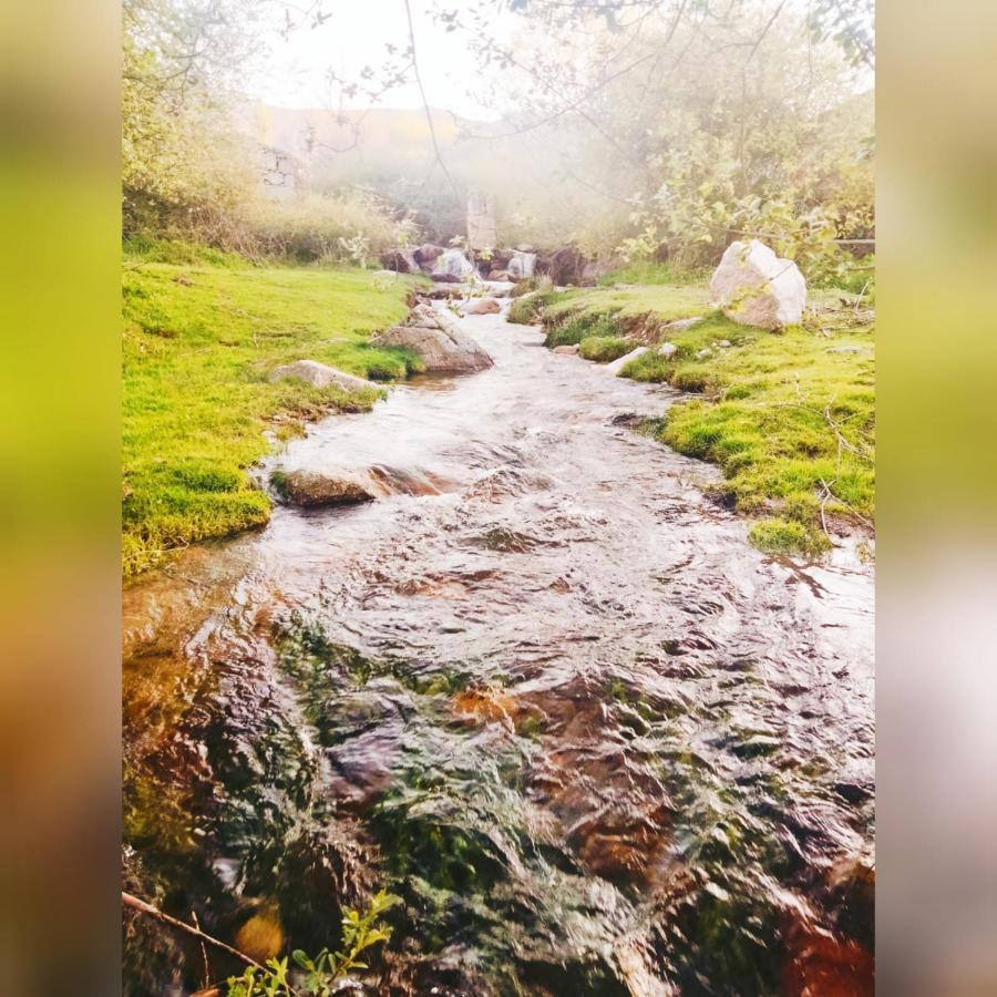 El Eden De Javier Konuk evi Robledillo Dış mekan fotoğraf